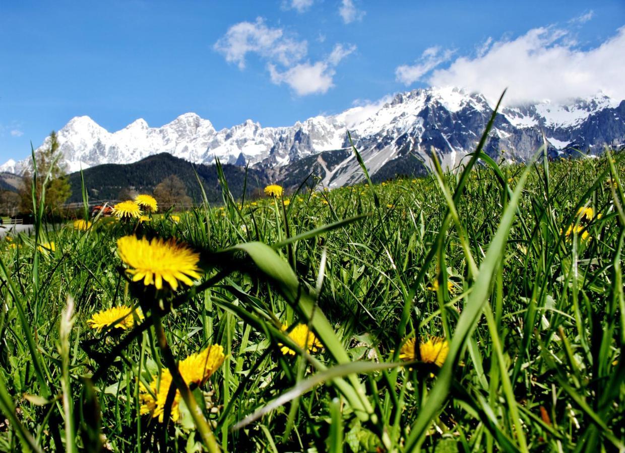 Haus Friedeck Bed & Breakfast Ramsau am Dachstein Exterior photo